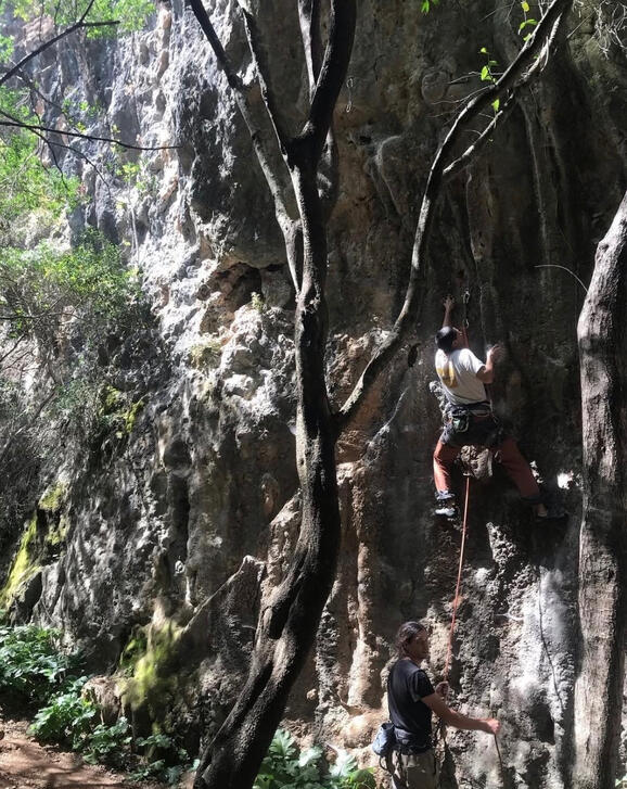 Acompanhamentos de diferentes modalidades como escalada, dança e entre outras Acompanhamentos de diferentes modalidades como escalada, dança e entre outras